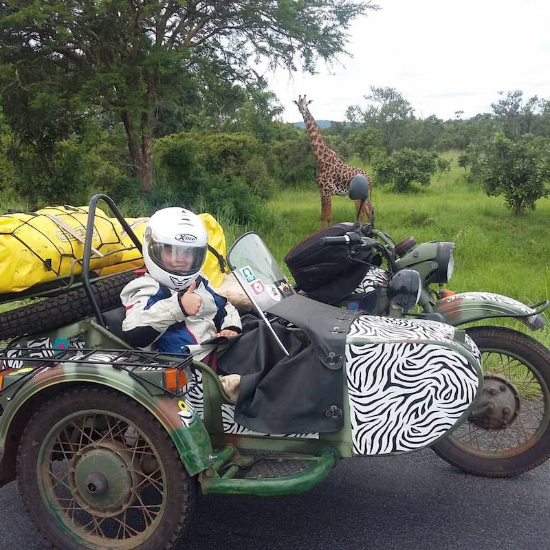 Sofia Cowpland in a side car with a giraffe looking on