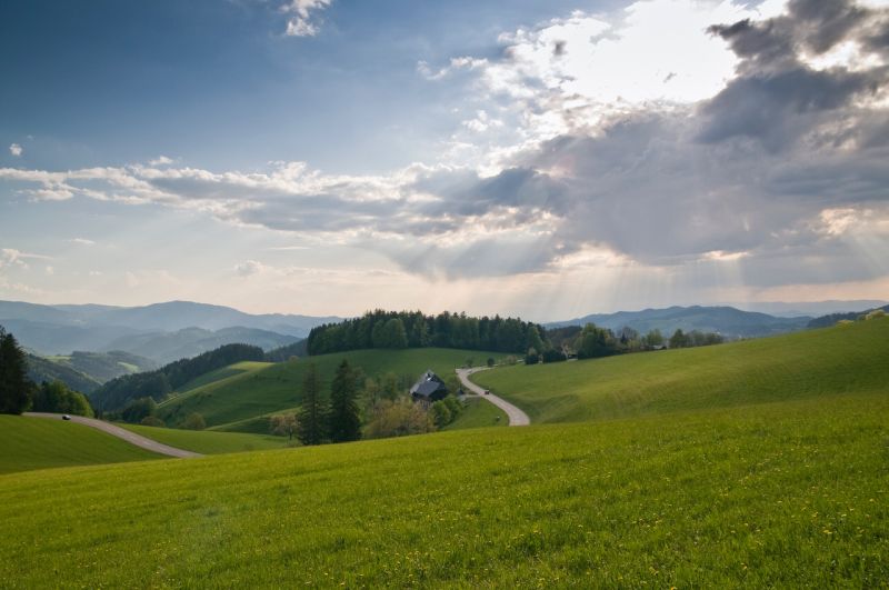 Black Forest Germany