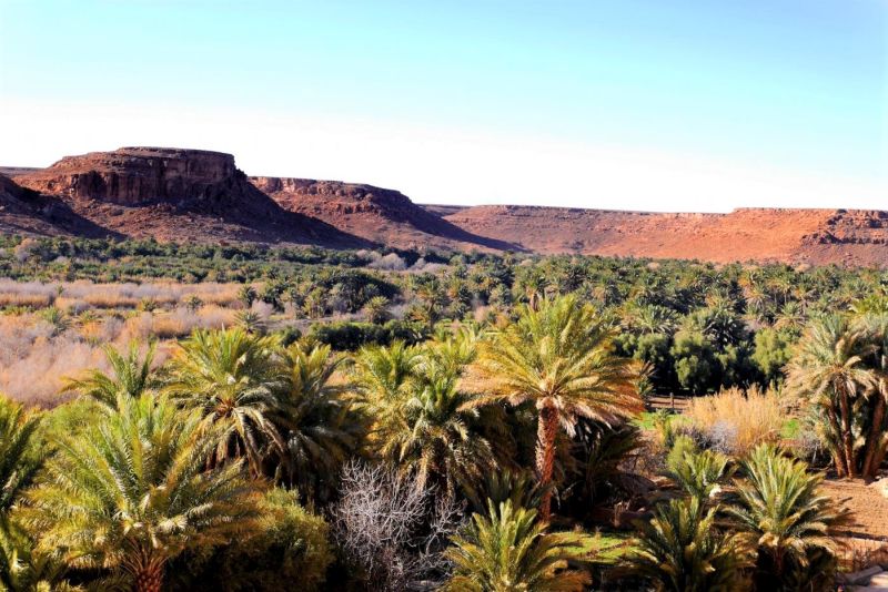 Tafilalet Oasis Morocco