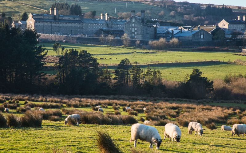 Dartmoor prison