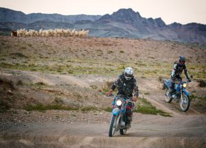The incredible story of the Rally for Rangers in the Mongolian Gobi
