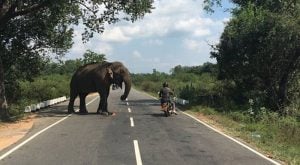 Six reasons to tour Sri Lanka by motorcycle