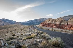 Hertz launches USA Bike Rental