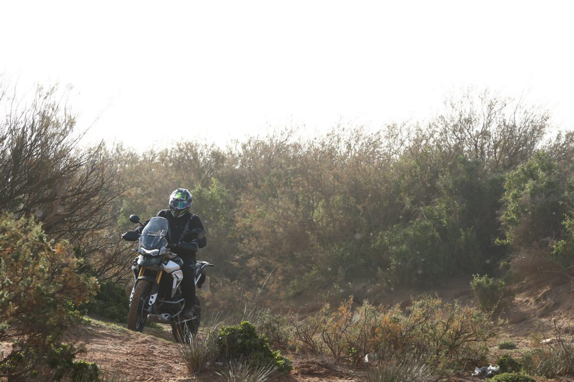 Triumph Tiger 900 Rally Pro Review