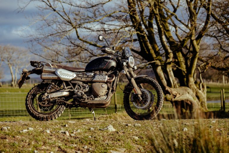 What you can learn from herding cows on a Triumph Scrambler 1200 XC -  Adventure Bike Rider