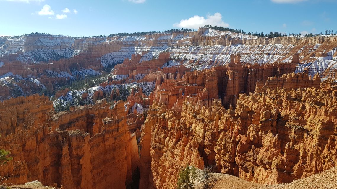 Bryce canyon in the snow