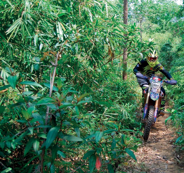 Cambodia Feature Image