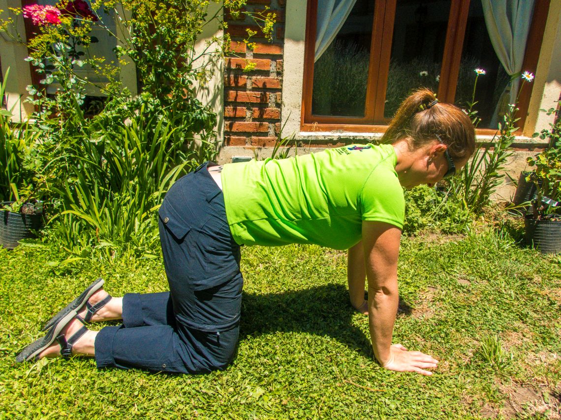 Deep neck Extensor