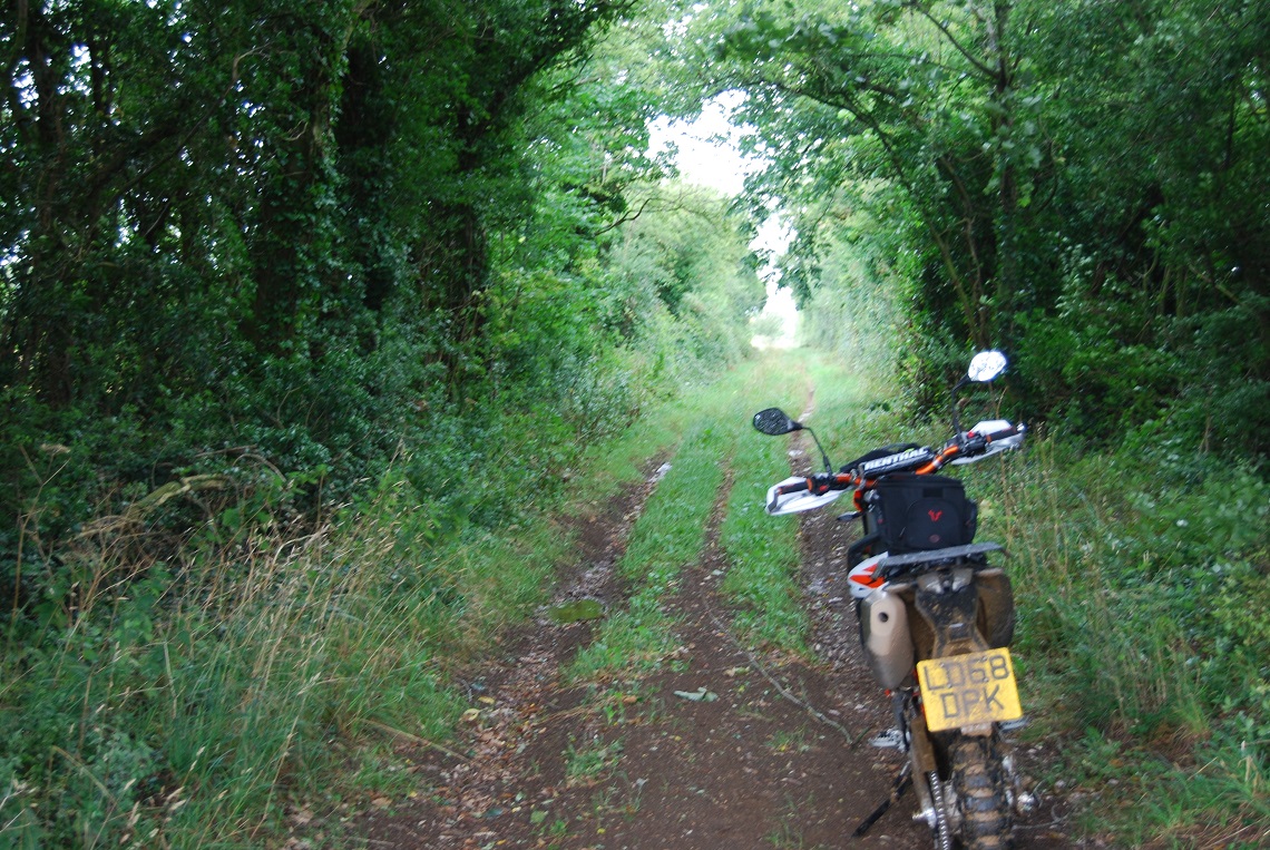 Grass-covered-lane