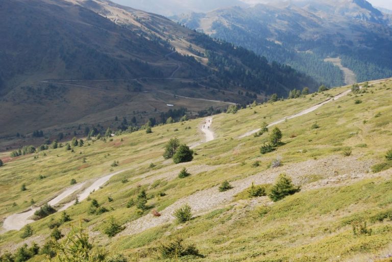 Hard Alpi Featured image