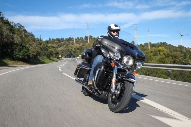 Harley Featured image
