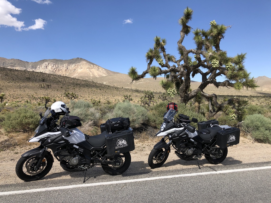 ISABELLA WALKER PASS ROAD AND JOSHUA TREES 4