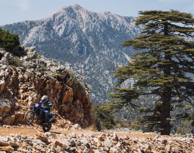 Legal-wheelie-featured-image