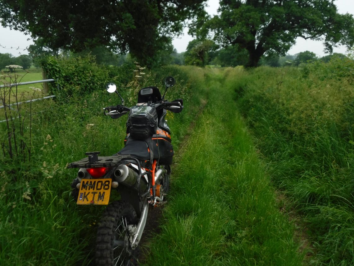 The Overgrown Lane