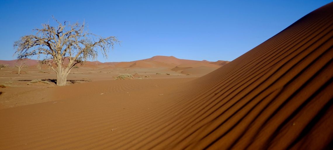 Rippled-sands