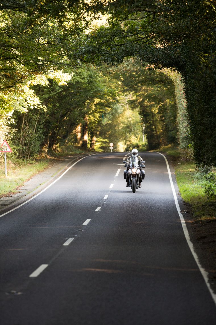 South Downs featured image