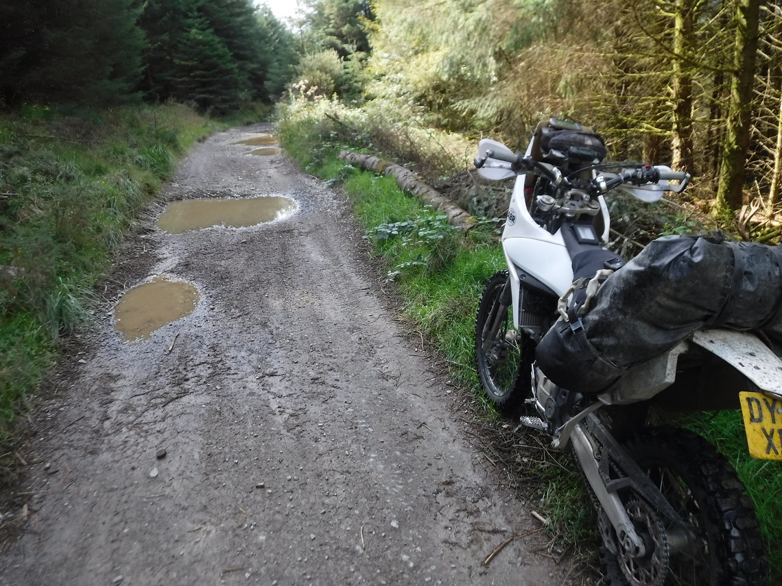 Sunken-lane-3