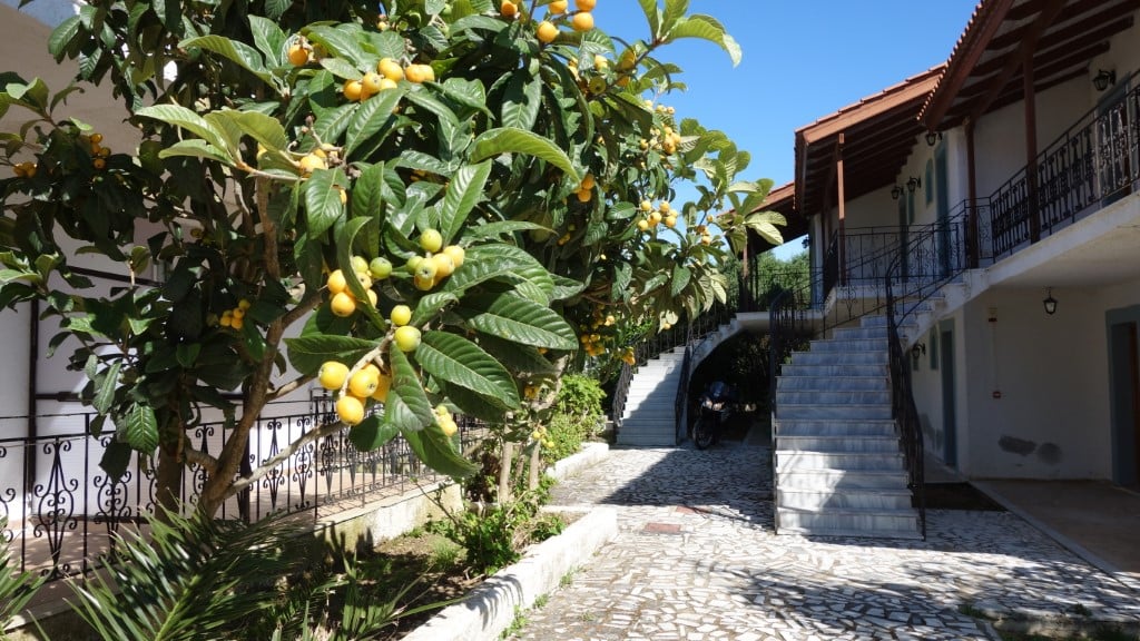 TerraMare 2