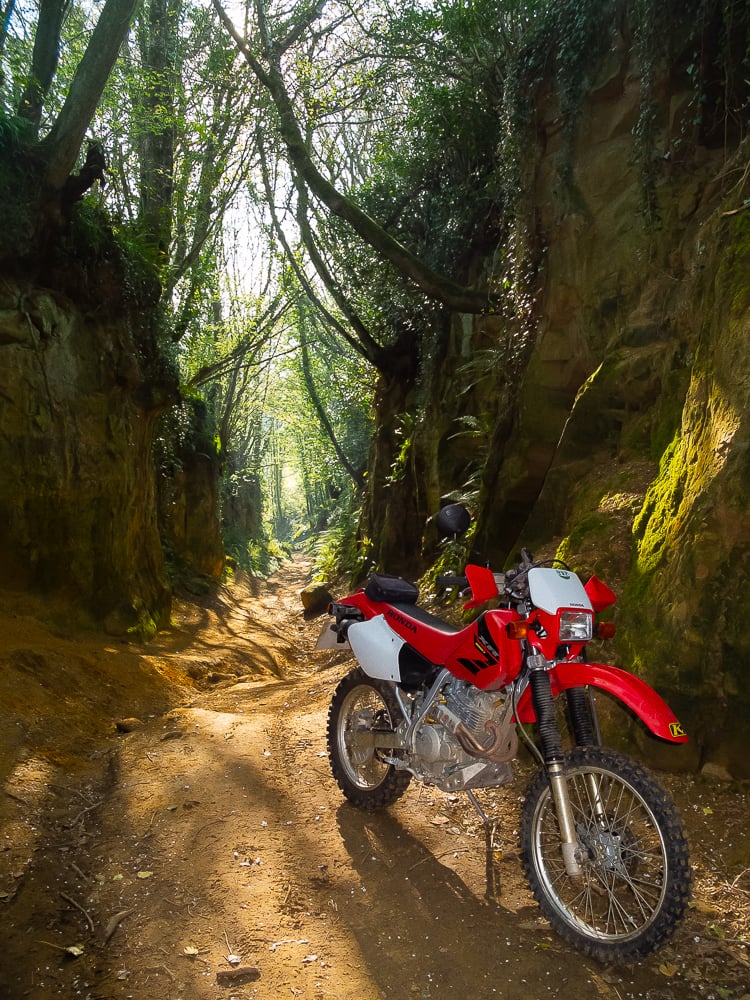 Trail-carved-out