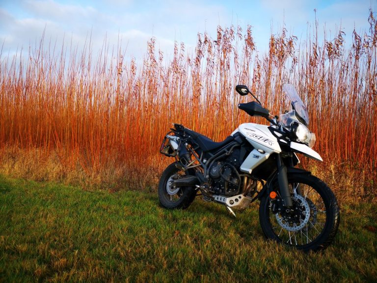 Triumph-tiger-800-xcx-featured-image-1