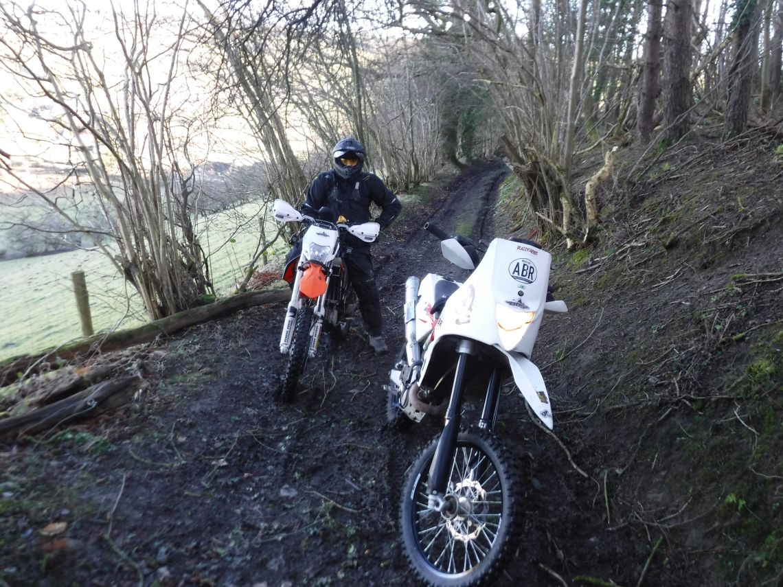 Woods at the start
