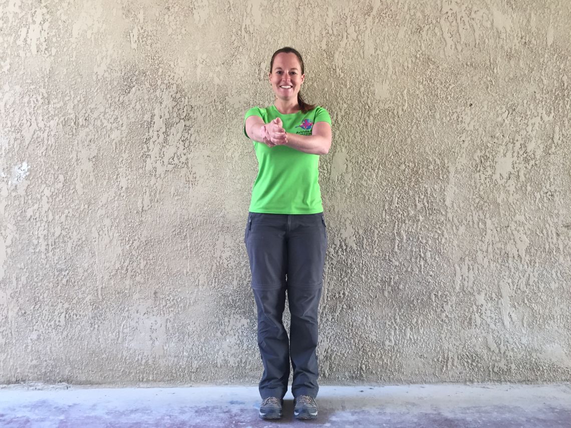 assisted-shoulder-flexion