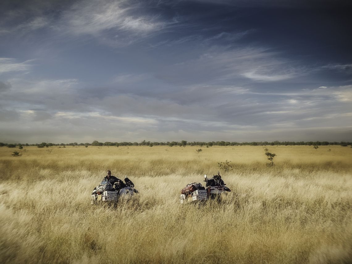 carpet of endless savannah