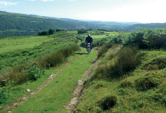 enjoying the grassy trails