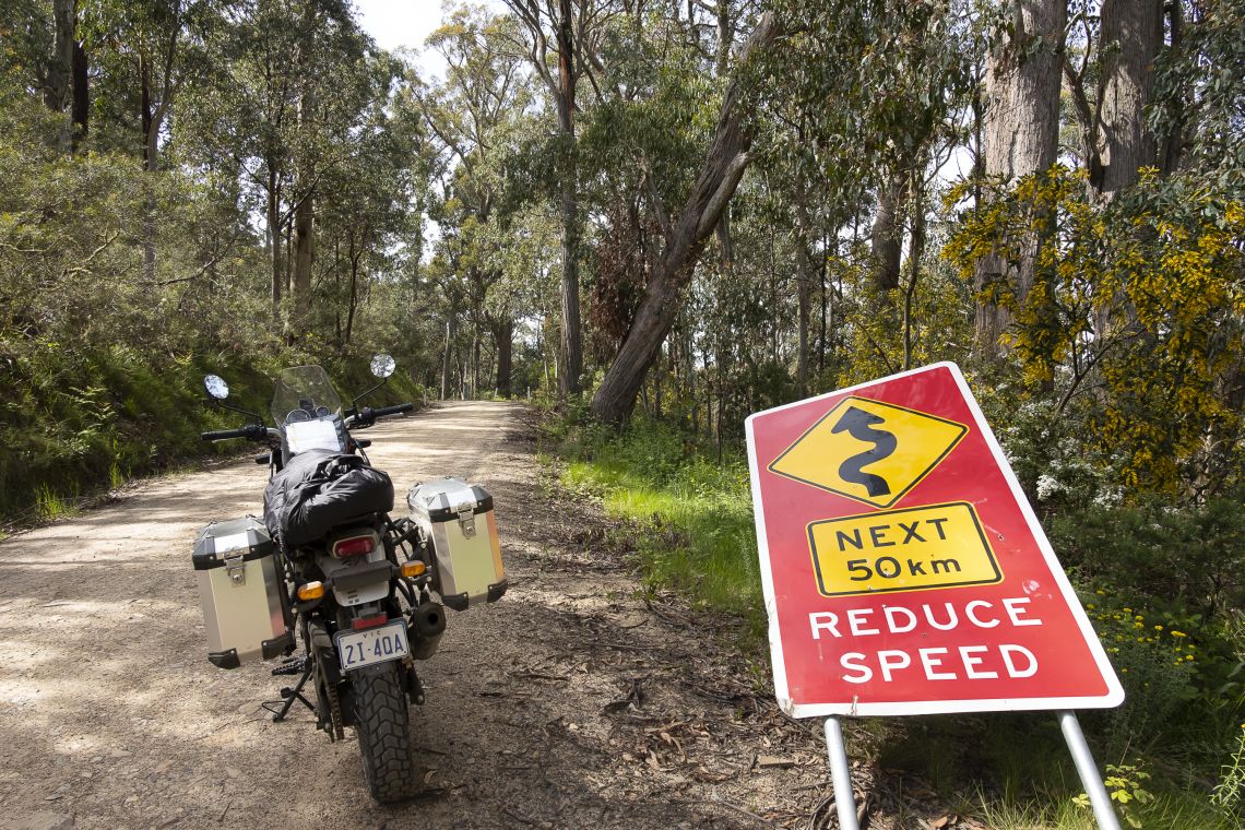 fun in the twisties
