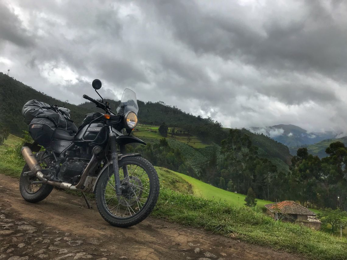himalayan
