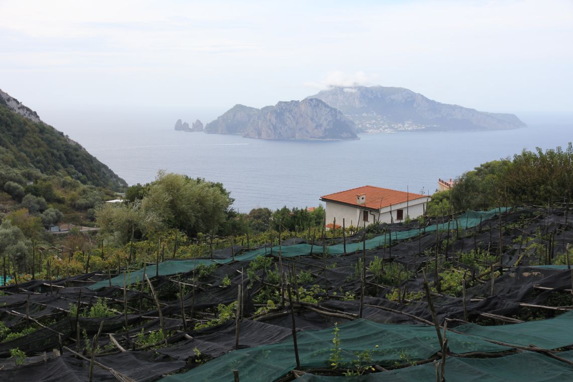 isle of capri