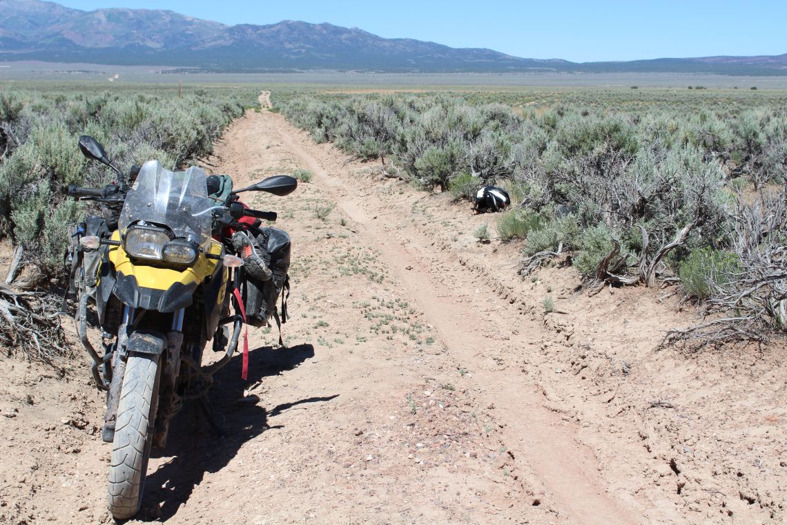 sand and sagebrush