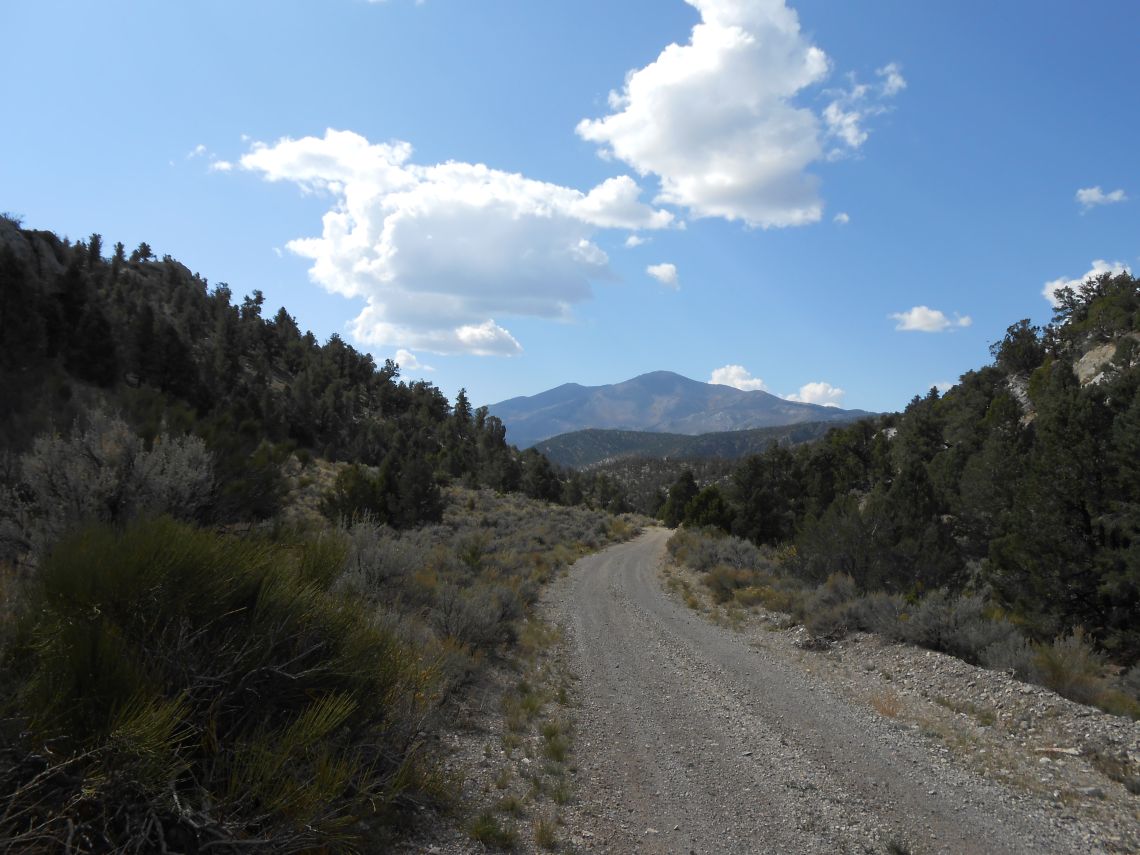 superb trails litter the area
