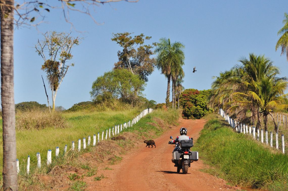 A Safari on two wheels