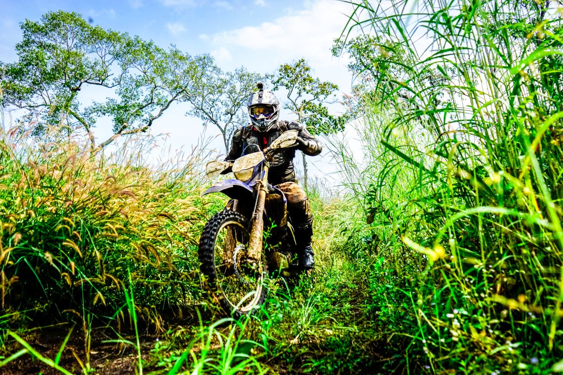Aaron takes on the tall grass