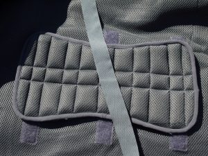 Back pad and shoulder strap