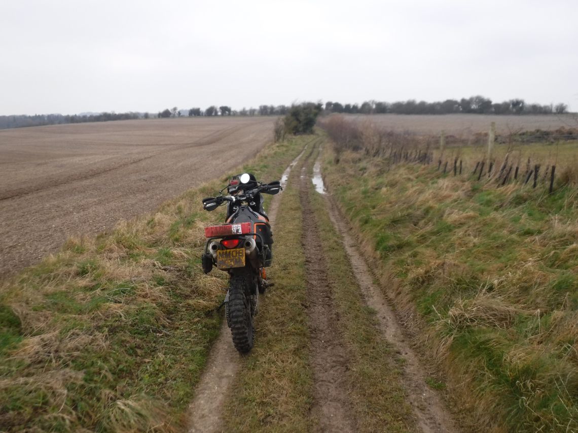 Berkshire Downs