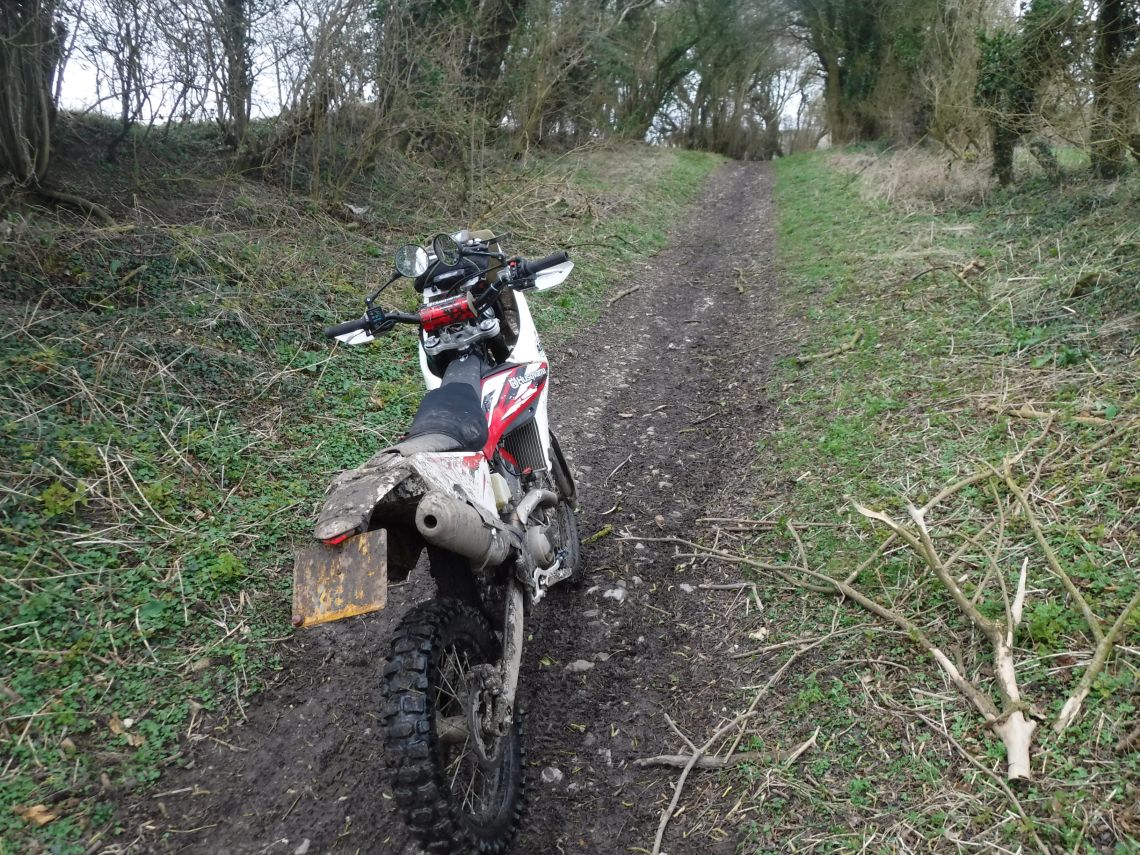 Butser Hill