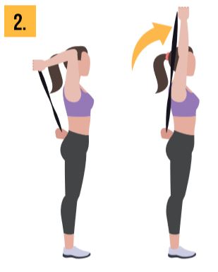 Fitness Tricep Extension