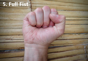 Full Fist