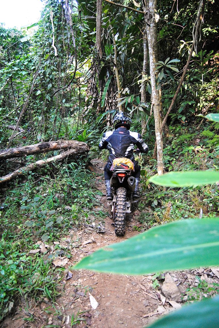 Gnarly Single Track