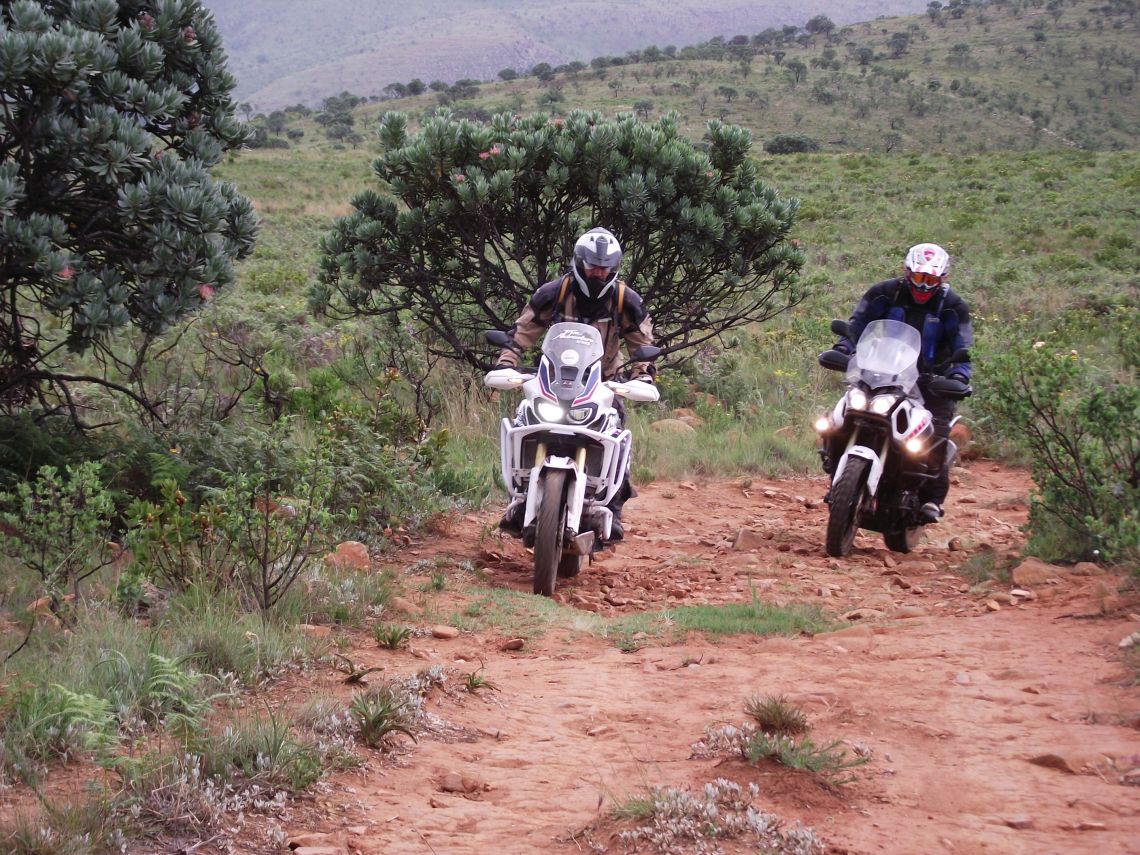 Hitting the trails