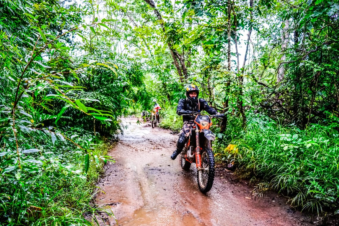 Hot and steamy in the jungle