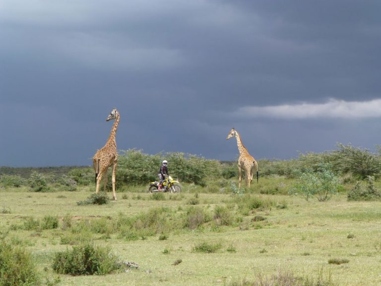 Kenya Feature Image
