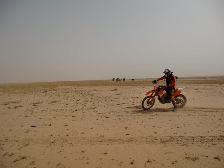 MoroccoFitness featured image