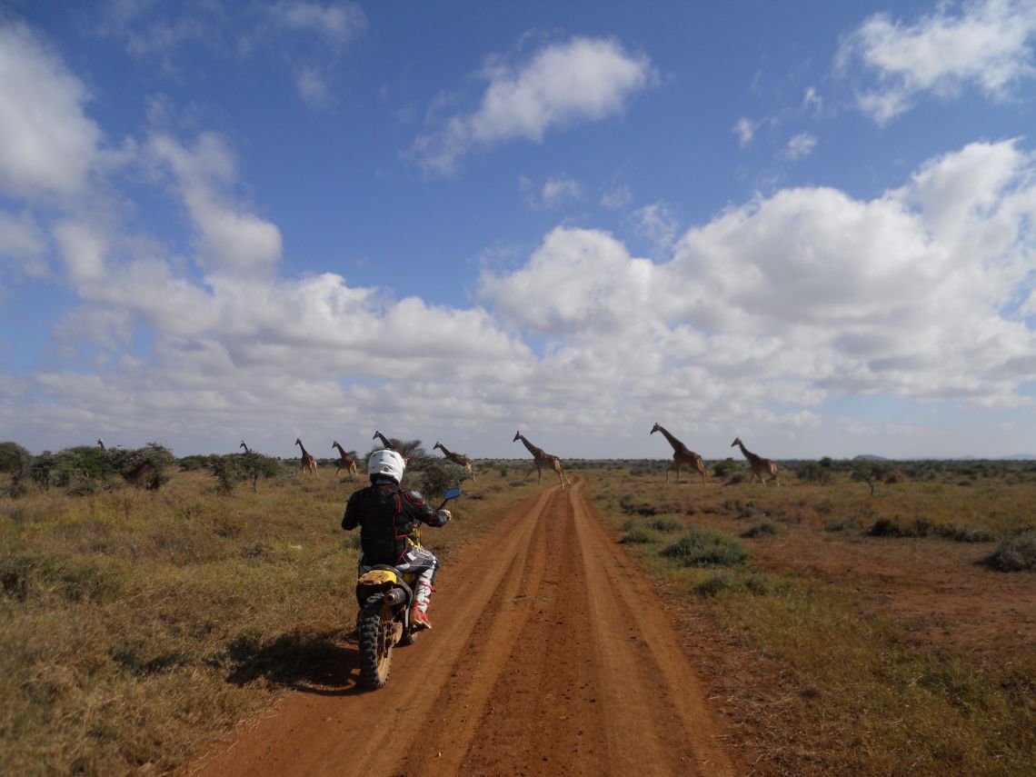 Nanyuki to Baringo Giraffe