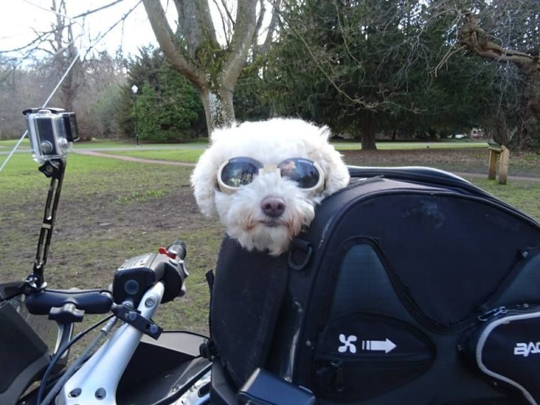 Paul Crossan (Motorbike Milly) - star letter