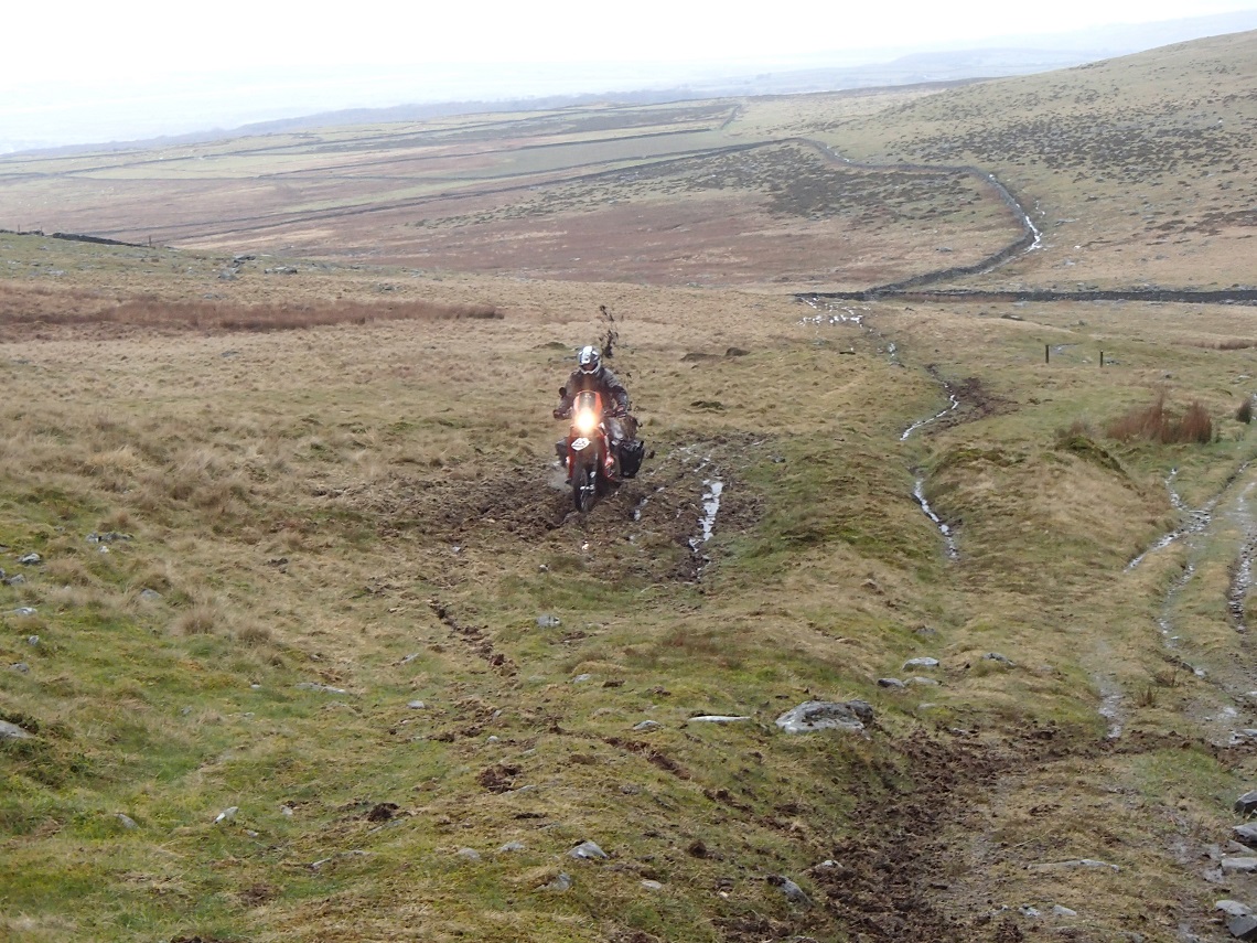 Plenty-of-ruts