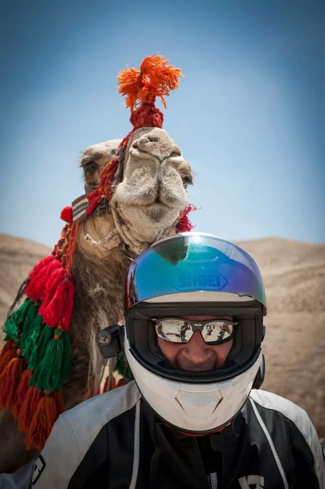 Riding camels in the desert