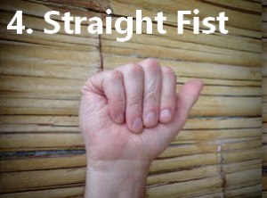 Straight Fist